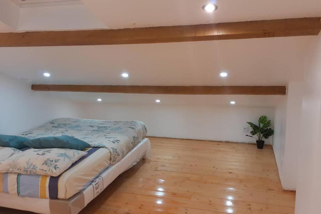 Appartement La Joie Dans Quartier Chic Pibrac Exterior foto