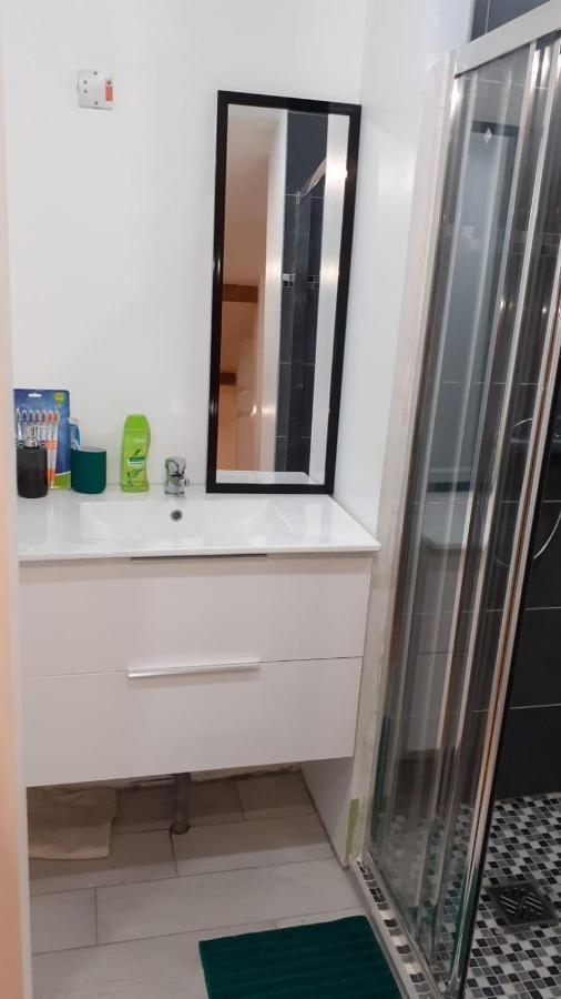 Appartement La Joie Dans Quartier Chic Pibrac Exterior foto