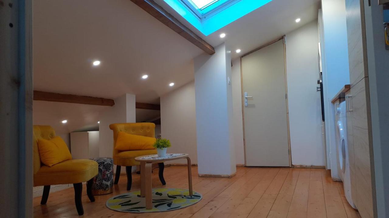 Appartement La Joie Dans Quartier Chic Pibrac Exterior foto